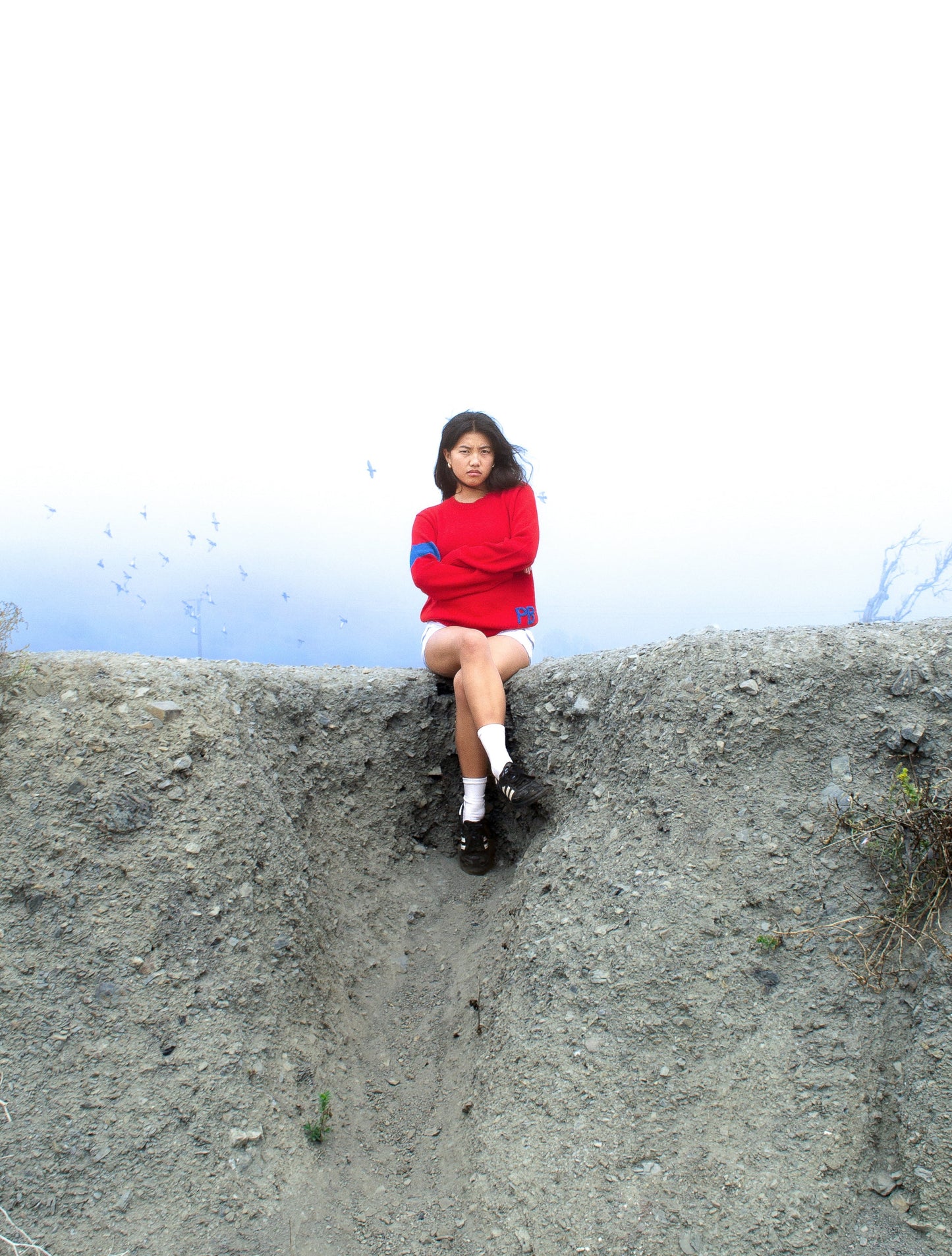 Hand Embroidered Alpaca - Light Weight Varsity Sweater