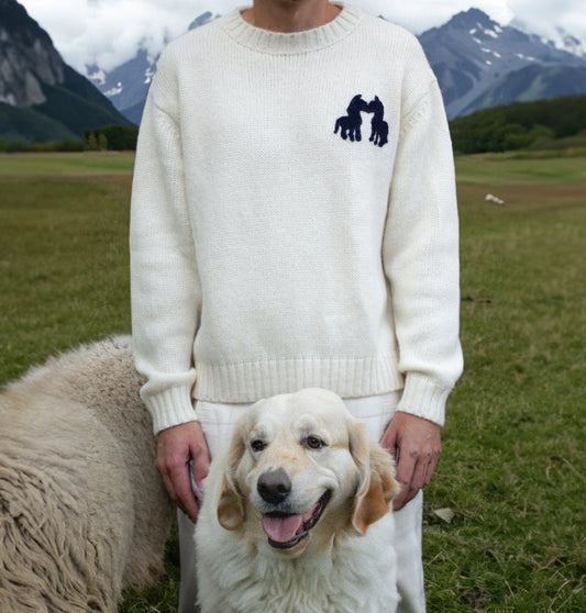 Alpaca Hand Embroidered Pony Boy Crewneck - Oversized